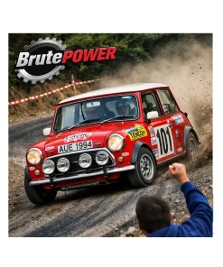 tamiya mini cooper rally